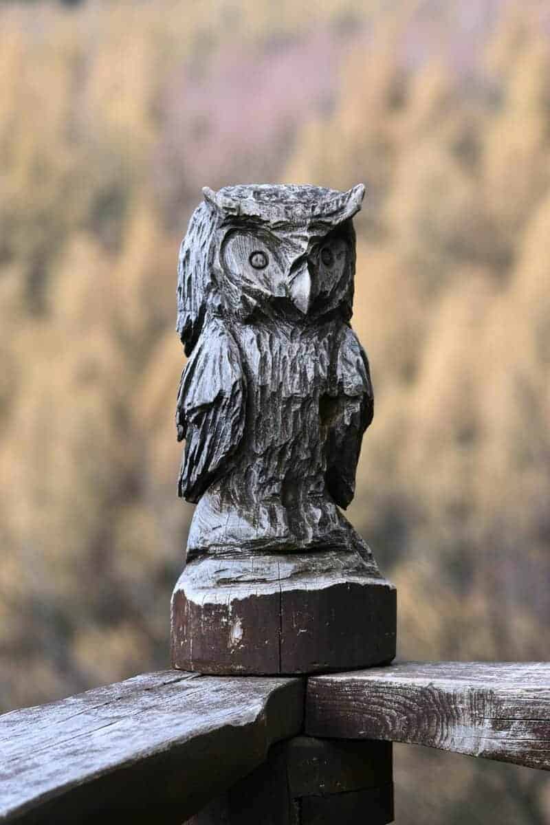 17. Owl Figurines