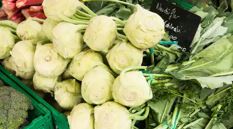 Kohlrabi 2016 05 03 1002