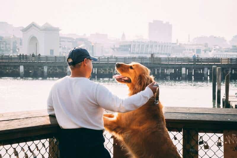 Pet-Friendly Travel Destinations So Good, You’ll Want to Move There With Your Furry Friend