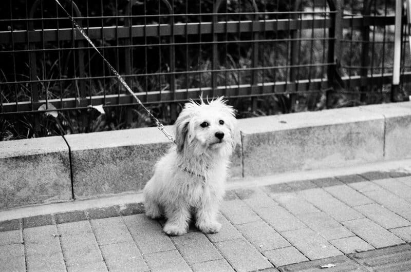 10. Setting Competitive Rates