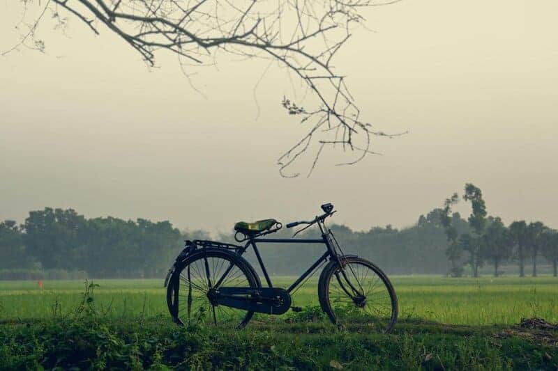 4. The Cycle of Rumination