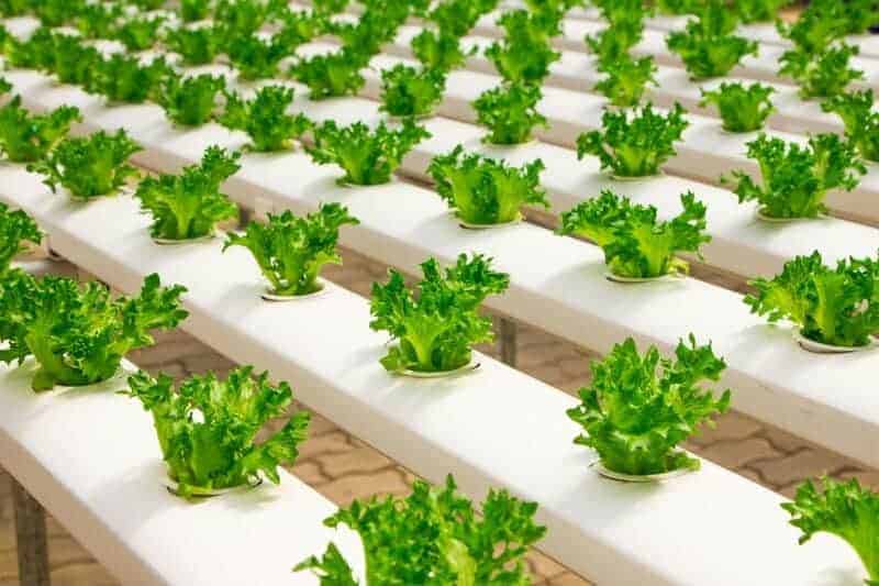 8. Vertical Urban Farming Units