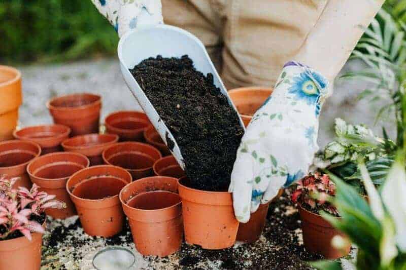 13. Choose the Right Soil and Containers
