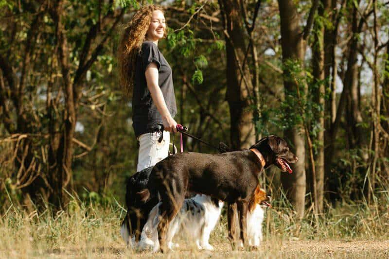 I Quit My $150K Job to Become a Dog Walker—3 Years Later, I Make More Money Than Ever
