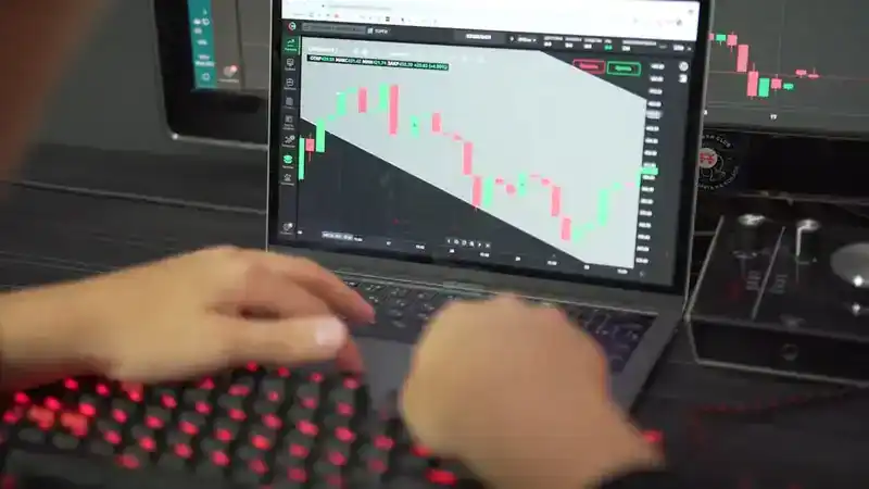 Pexels photo 8480486