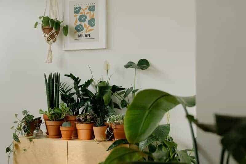 3. Faux Plants and Flowers
