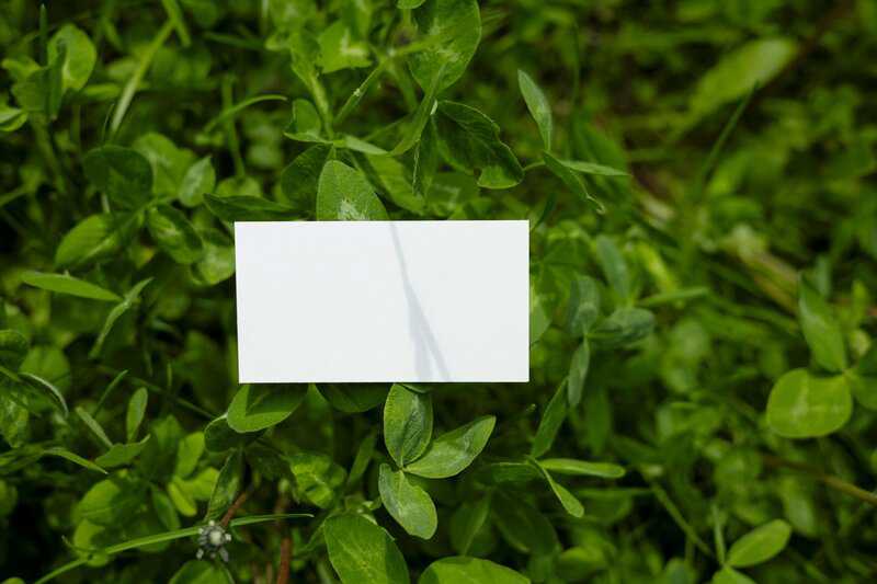 14. Supports Positive Identity Formation