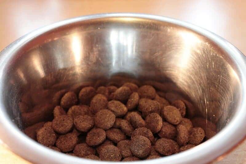 Food bowl 281978 960 720