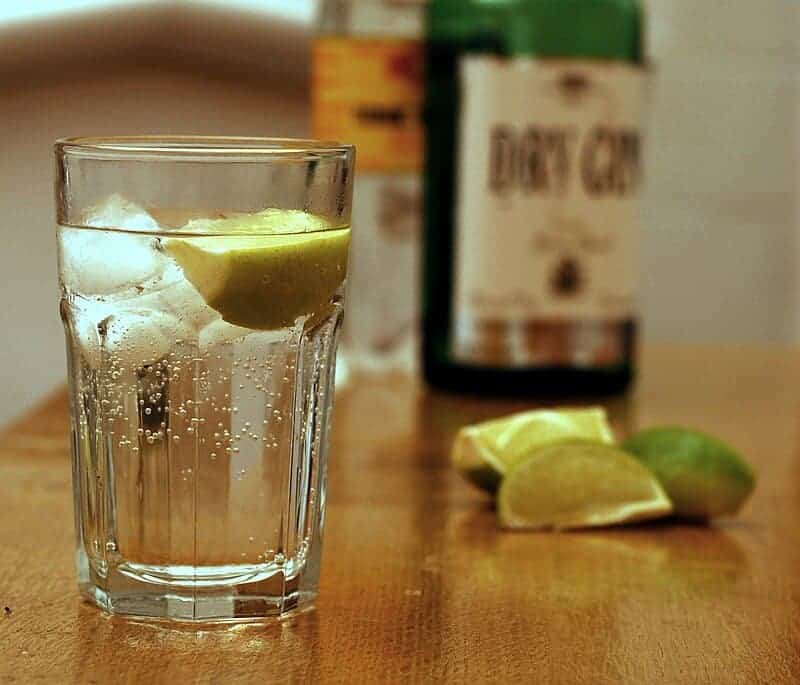 Gin and tonic with ingredients