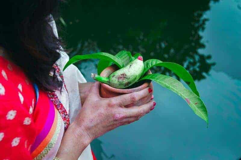 19. Cultural Adaptation and Personal Agency