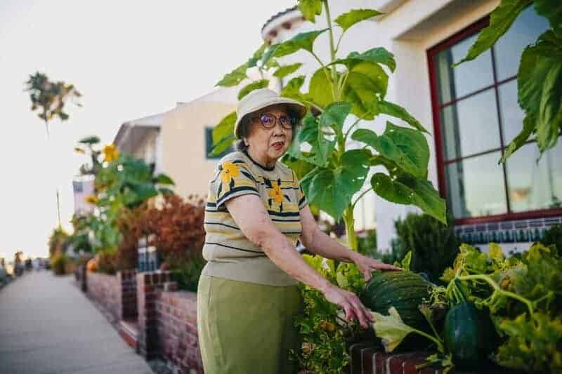 25. Community Gardens and Shared Green Spaces