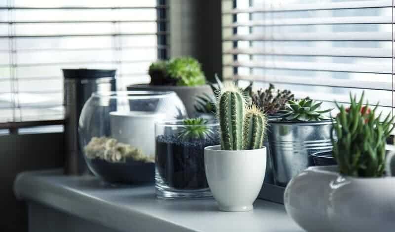 Pots 716579 960 720