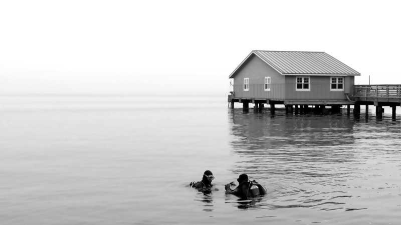 11. Attracting Niche Markets